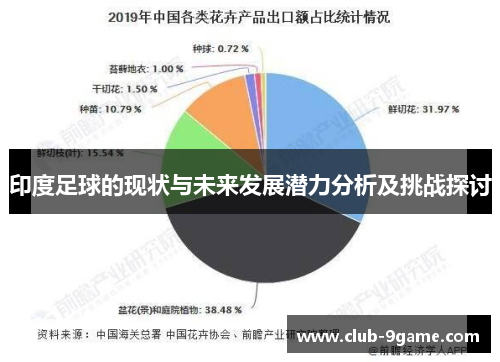 印度足球的现状与未来发展潜力分析及挑战探讨 印度足球的现状与未来发展潜力分析及挑战探讨