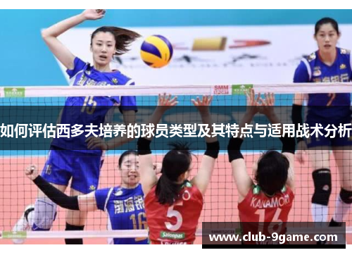 如何评估西多夫培养的球员类型及其特点与适用战术分析 如何评估西多夫培养的球员类型及其特点与适用战术分析