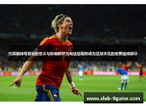 托雷斯绰号背后的意义与影响解析为何这些昵称成为足球文化的重要组成部分 托雷斯绰号背后的意义与影响解析为何这些昵称成为足球文化的重要组成部分