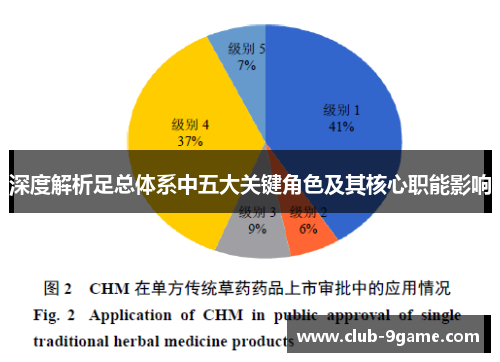 深度解析足总体系中五大关键角色及其核心职能影响