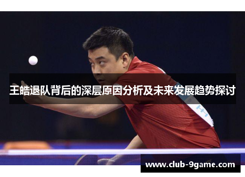 王皓退队背后的深层原因分析及未来发展趋势探讨
