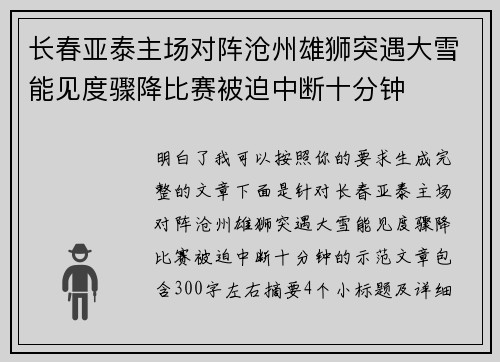 长春亚泰主场对阵沧州雄狮突遇大雪能见度骤降比赛被迫中断十分钟 长春亚泰主场对阵沧州雄狮突遇大雪能见度骤降比赛被迫中断十分钟