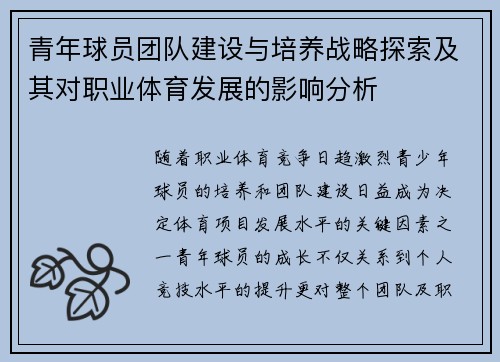 青年球员团队建设与培养战略探索及其对职业体育发展的影响分析