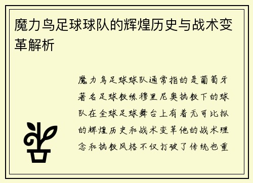 魔力鸟足球球队的辉煌历史与战术变革解析